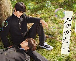 许昌关键词网站优化